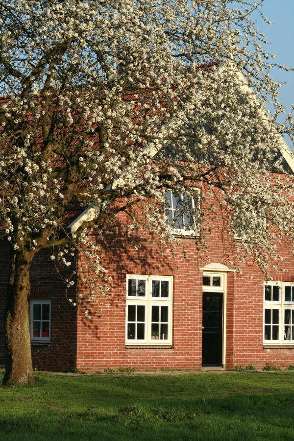 B&B Erve Ten Dam Ambt Delden Esterno foto